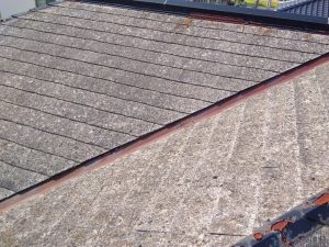 屋根面には苔が生えてざらついている状態