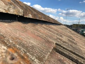 棟取り直し工事完成