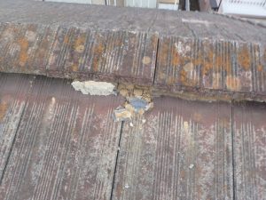 台風被害で破損した屋根の棟瓦を点検調査