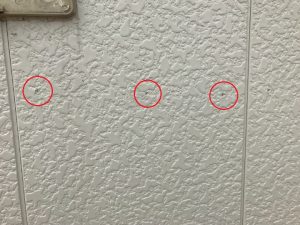 ビスが数本抜けている外壁