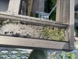 既存の波板ポリカを撤去した後