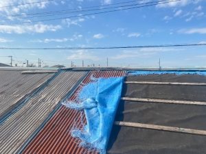 強風により数枚のトタンが飛散