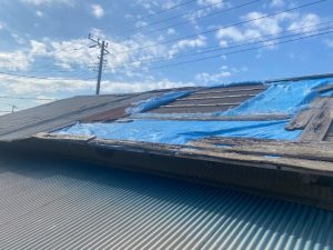 強風により数枚のトタンが剥がれた状態