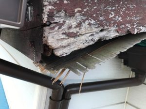 軒天の剥がれと破風板の腐食が進行した状態