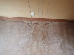 台風被害で雨漏りした箇所の痕跡