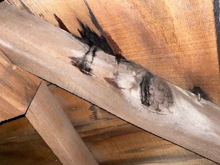 雨漏りの影響によって木材が脆くなり破損している箇所