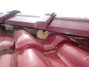 棟瓦の漆喰が崩れた状態を確認