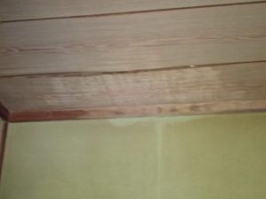 室内雨漏り（和室天井）