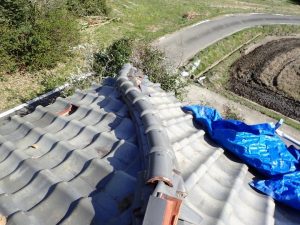 台風被害を受けた瓦屋根を点検調査