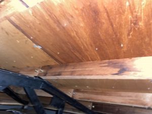 室内の雨漏り箇所を確認