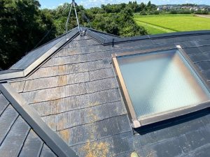 天窓の状態を点検する作業風景