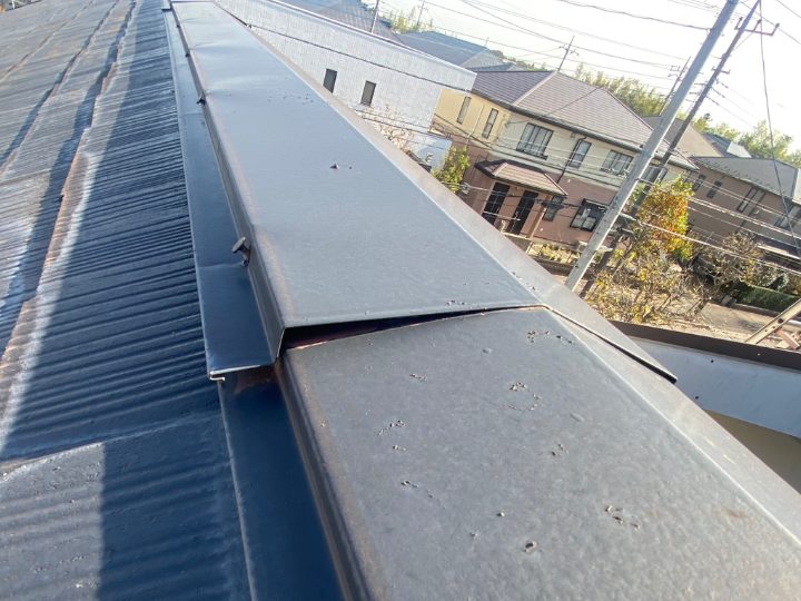 棟板金と固定釘の浮き