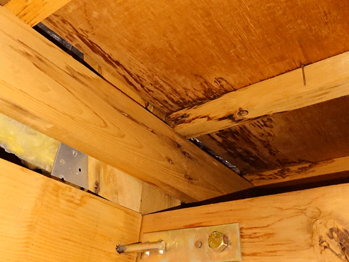 小屋裏にできた雨染み