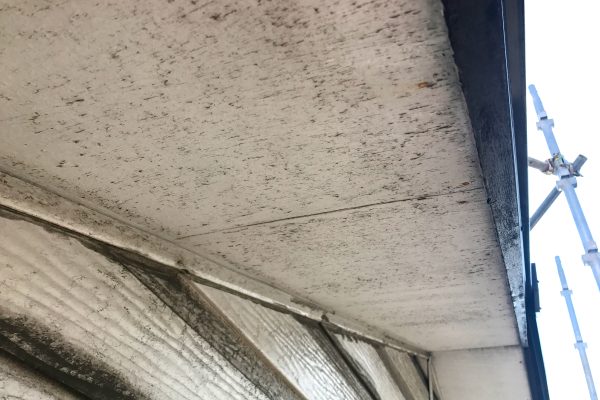 軒天の劣化（黒ずみ、雨染み）