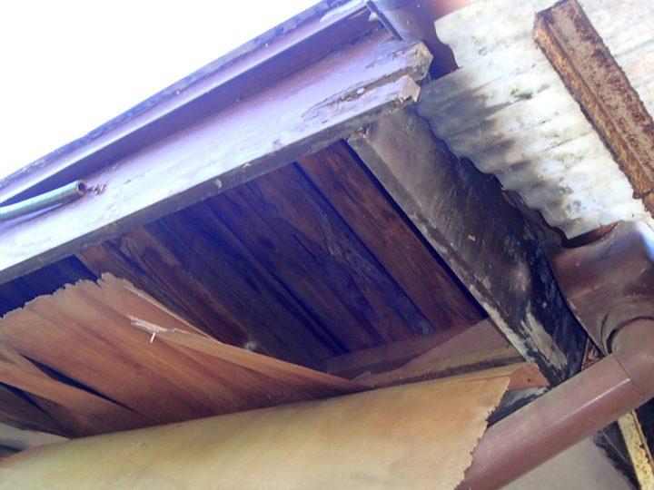 腐食した軒天