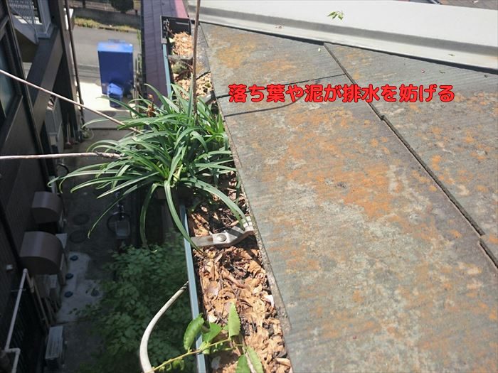 落ち葉や泥が排水を妨げる