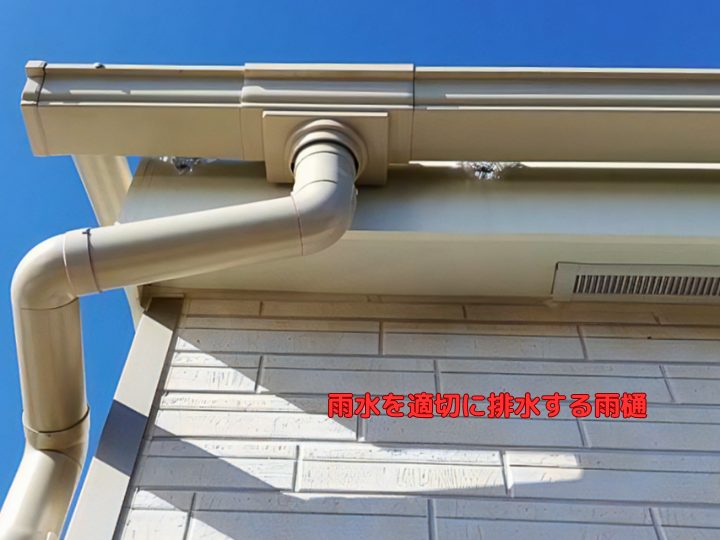 雨水を適切に排水する雨樋