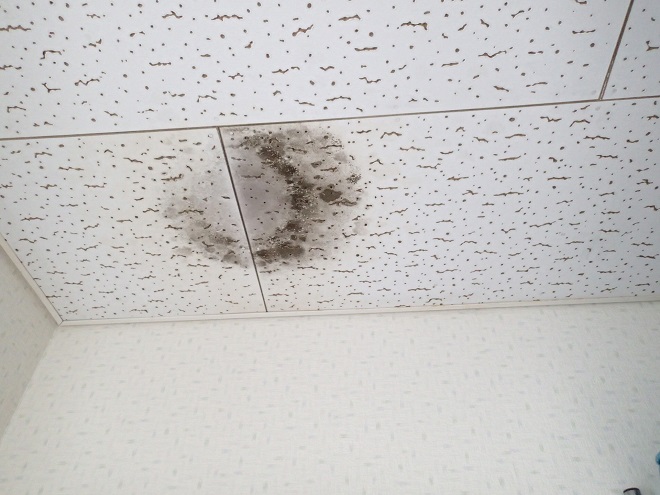 天井の雨漏り跡