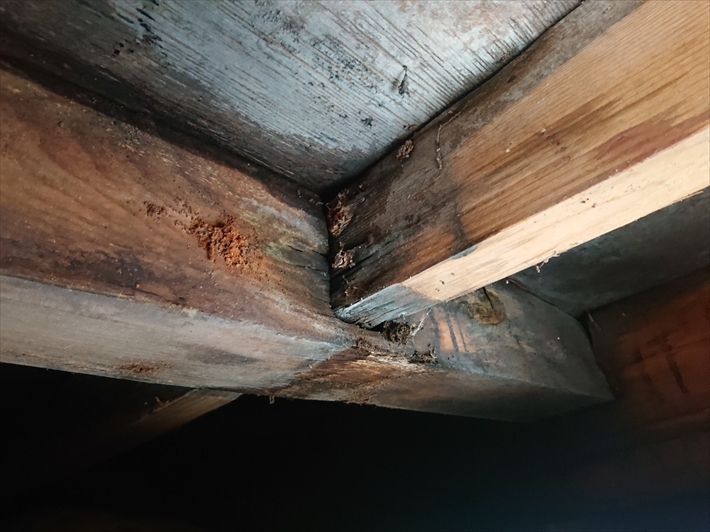 構造部の腐食