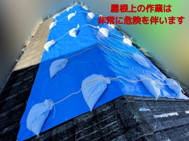 屋根上の作業は非常に危険を伴います