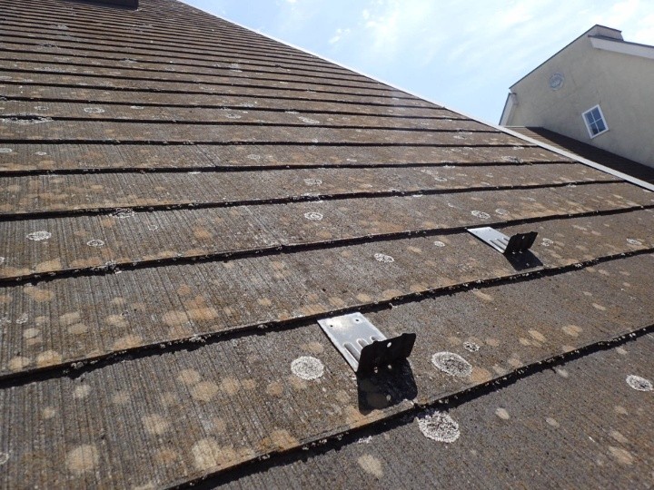 苔(コケ)が繫殖したスレート屋根