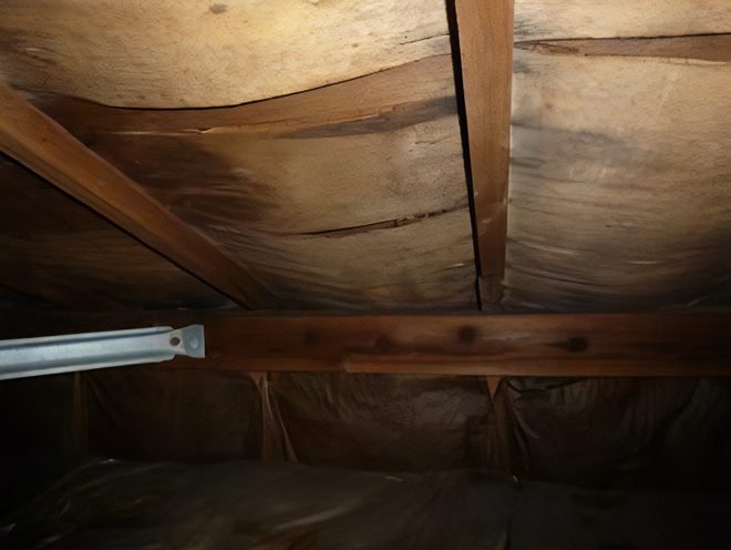 劣化したたわんだ野地板