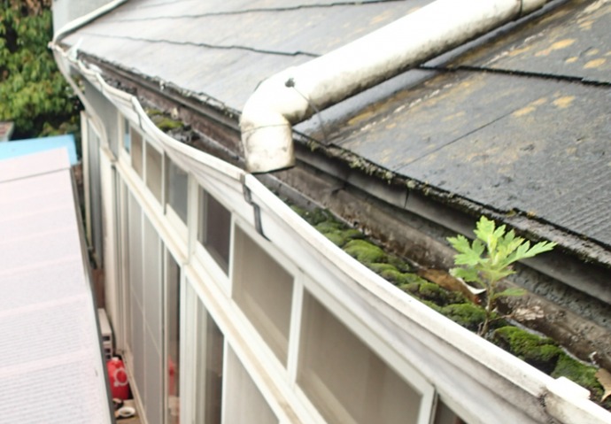 雨どいの詰まり