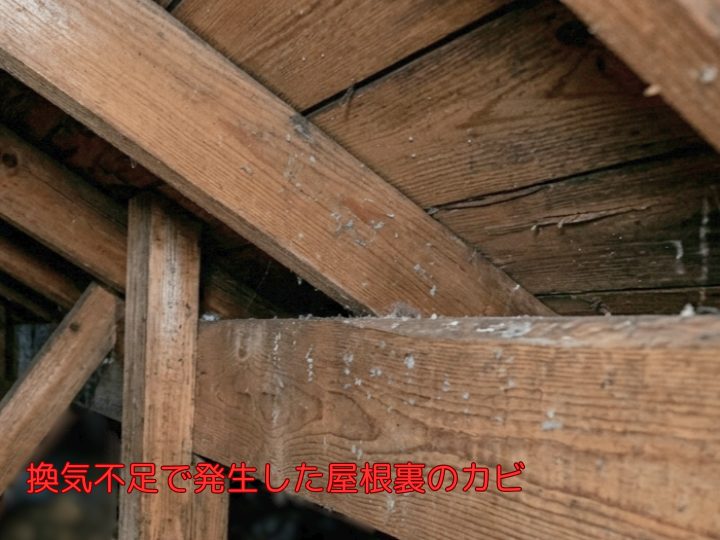 換気不足で発生した屋根裏のカビ