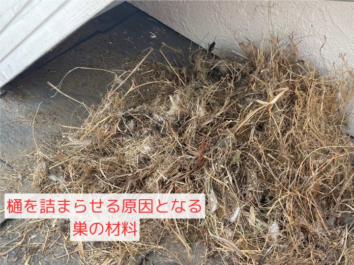 樋を詰まらせる原因となる巣の材料
