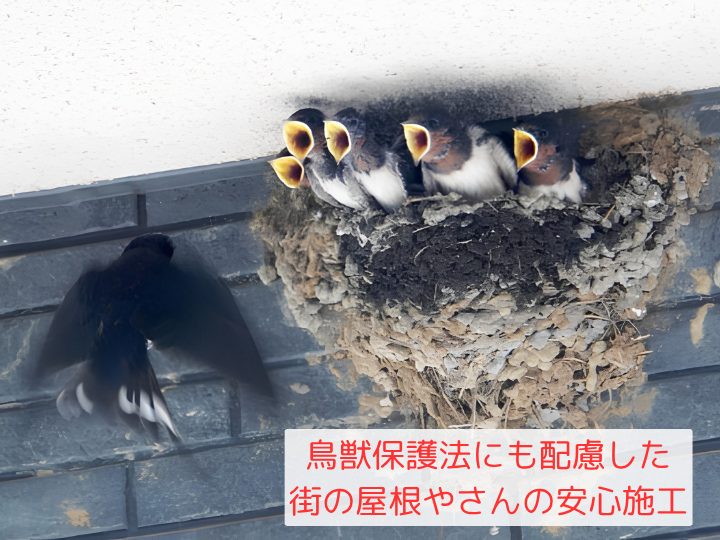 鳥獣保護法にも配慮した、街の屋根やさんの安心施工