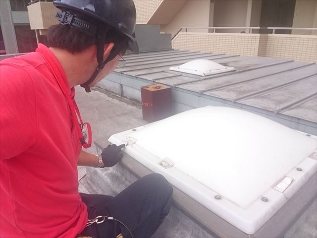 天窓の点検作業