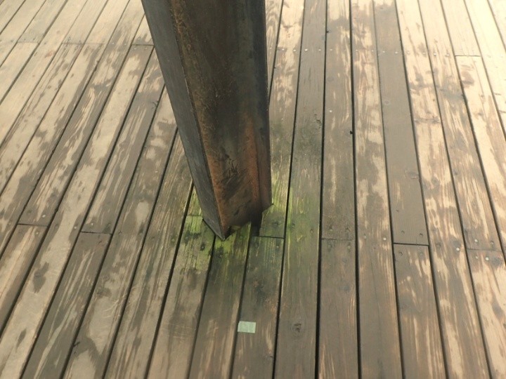 ウッドデッキの床面に苔が発生