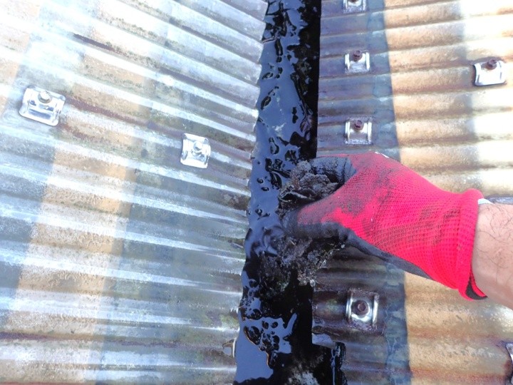 雨樋内に繁殖した草や堆積した泥を手作業で取り除き
