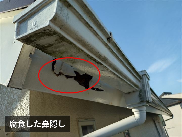腐食した鼻隠し