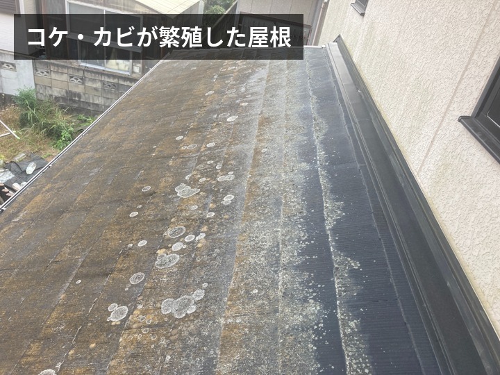 コケやカビの繁殖した屋根