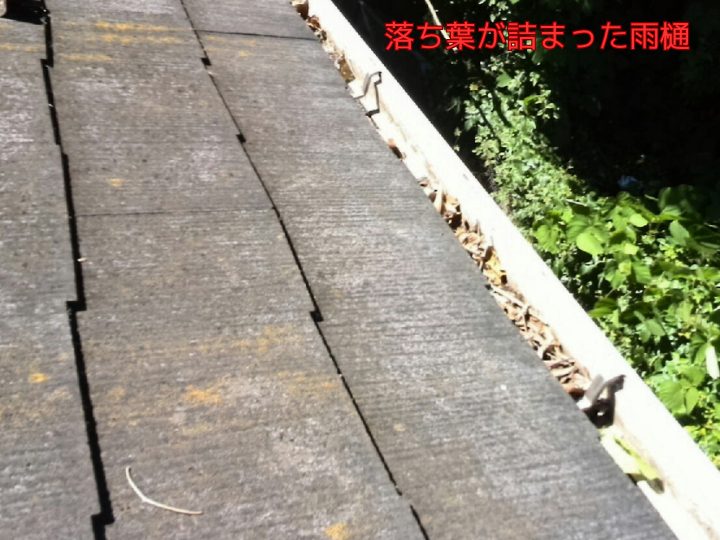 落ち葉が詰まった雨樋
