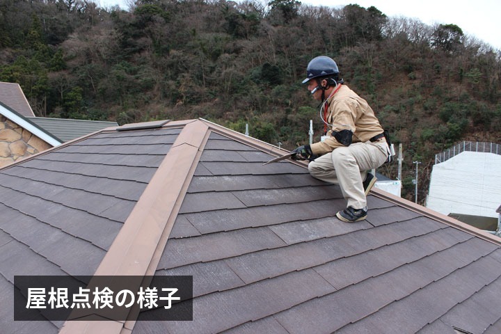 屋根点検の様子