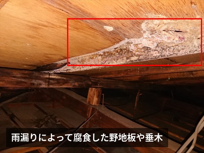 腐食した野地板や垂木