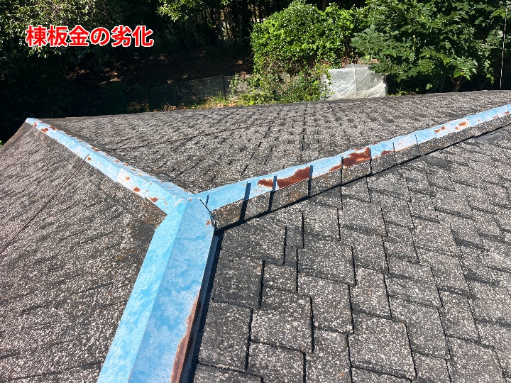 錆が出た棟板金全景