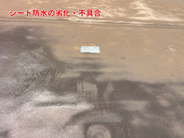 劣化した防水シート
