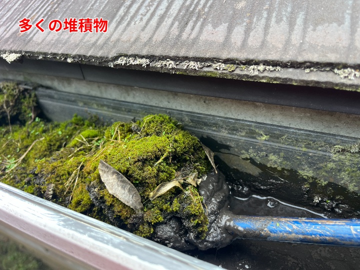 苔混じりの堆積物回収