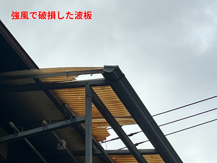 強風で割れた波板
