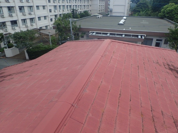 棟周辺の屋根全景