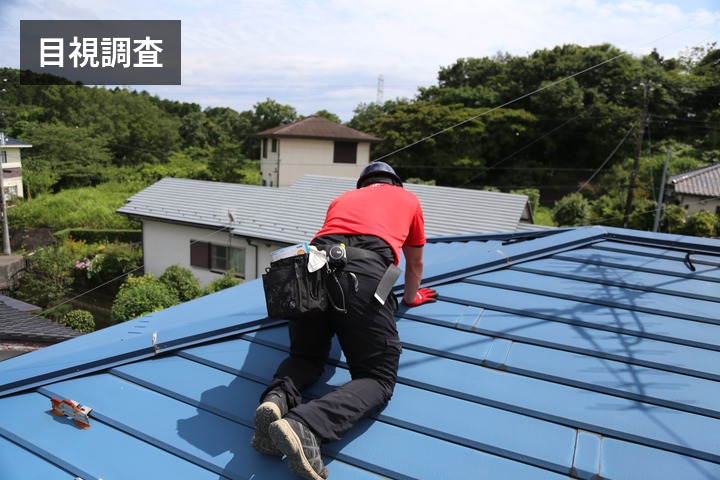 目視での調査