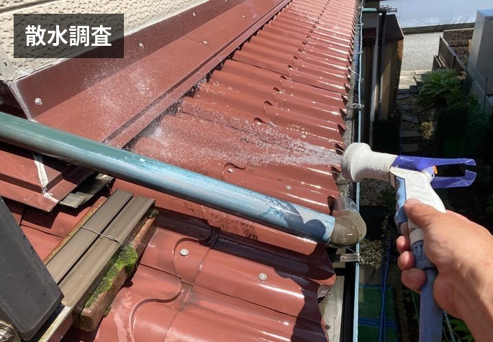 散水調査