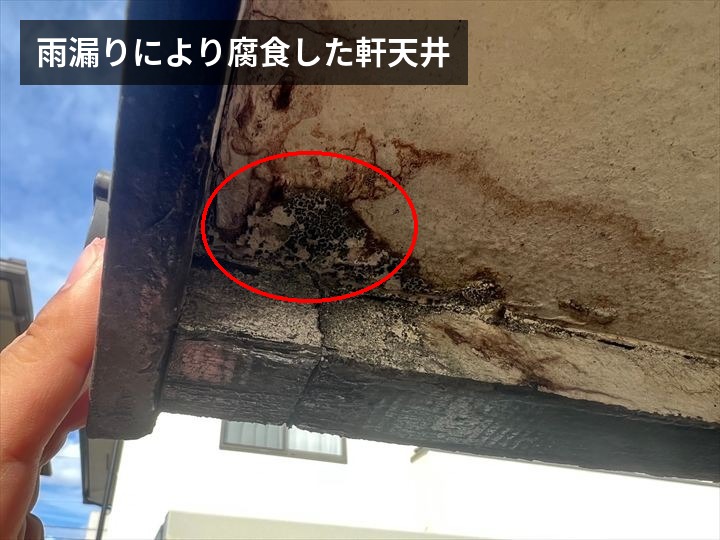 雨漏りによって腐食した軒天上
