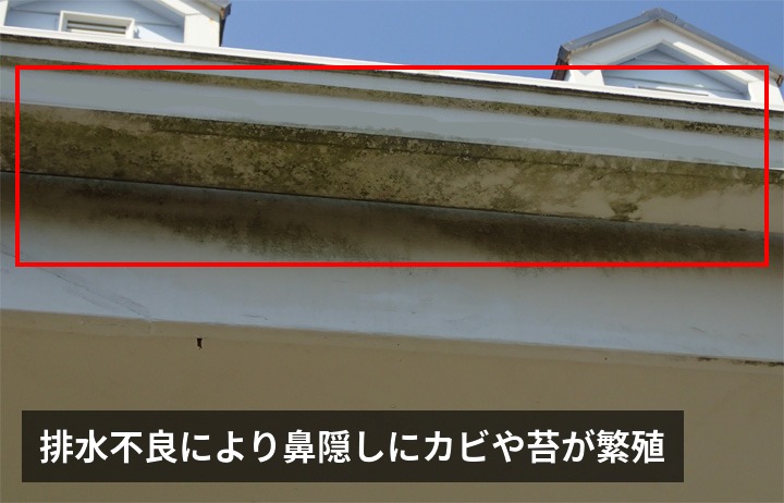 排水不良により傷んでしまった鼻隠し
