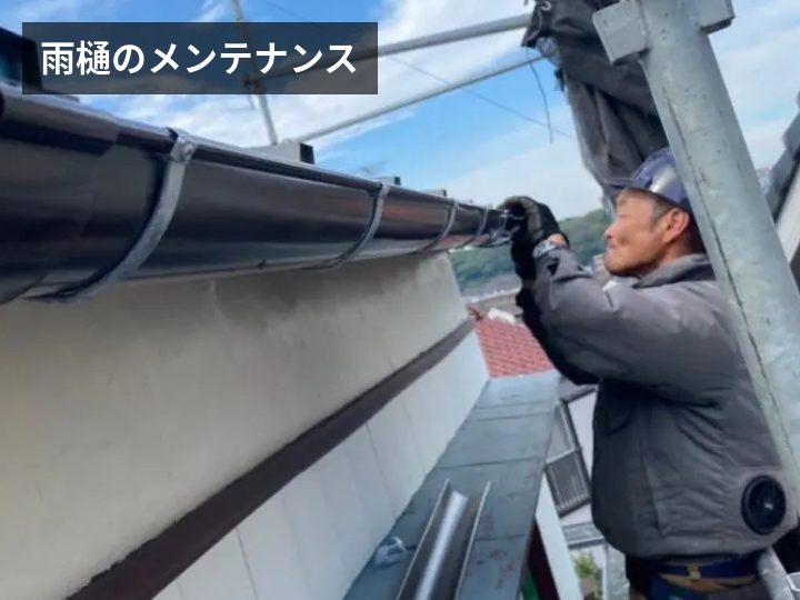 雨樋メンテナンス