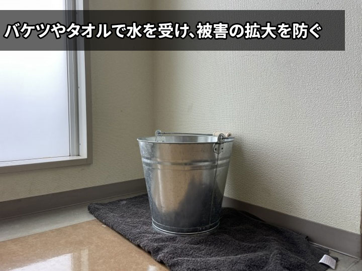 バケツやタオルで水を受け、被害の拡大を防ぐ