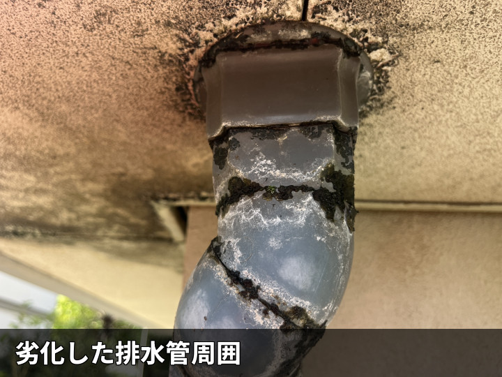 排水管周囲の劣化